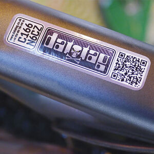 Datatag Stealth System click to zoom image